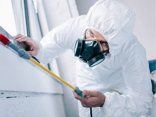 affordable-pest-control